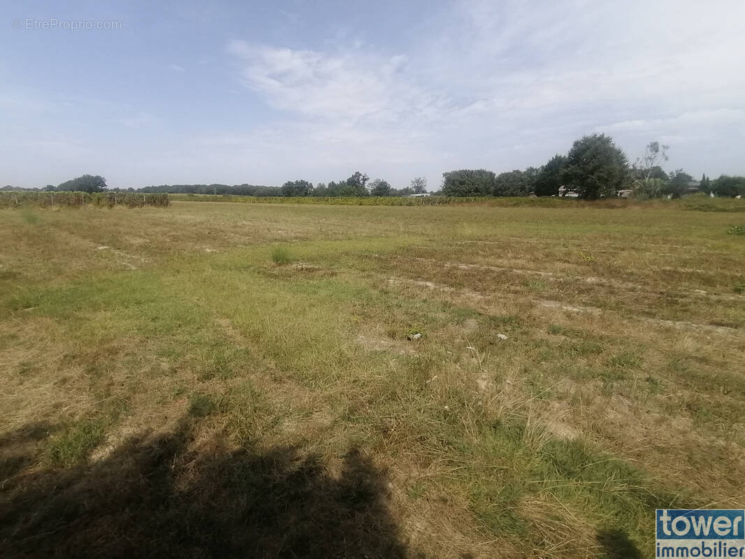 Terrain à BRESSOLS
