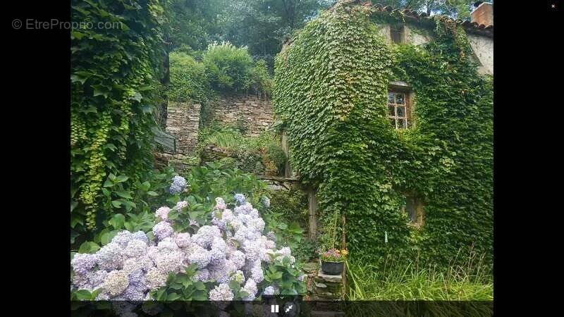 Appartement à COURNIOU