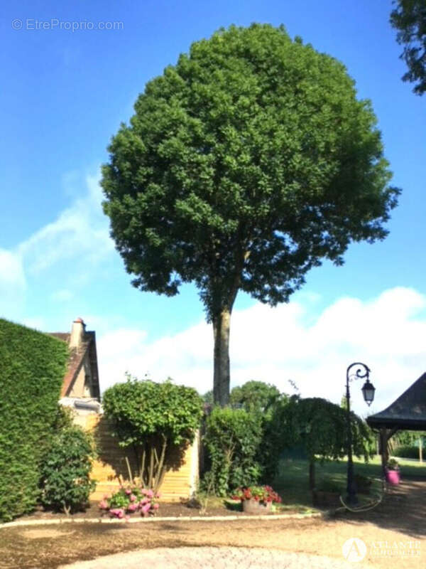 Maison à MOREE