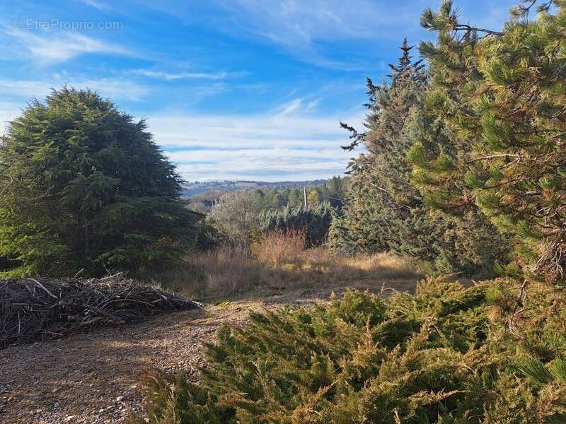 Terrain à PIERREVERT