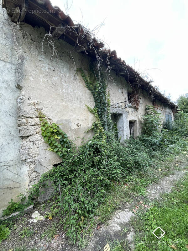 Façade Ouest - Maison à FRONSAC