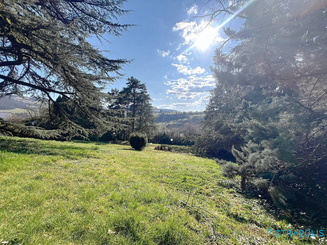 Terrain à SAINT-FORGEUX