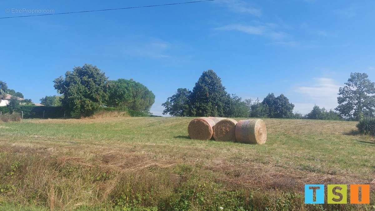 Terrain à CIADOUX