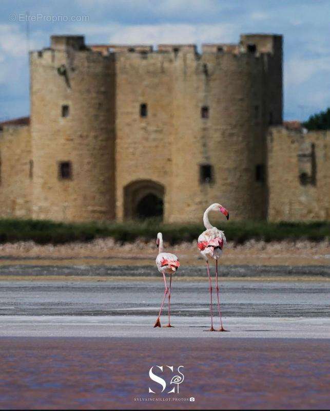 Maison à AIGUES-MORTES