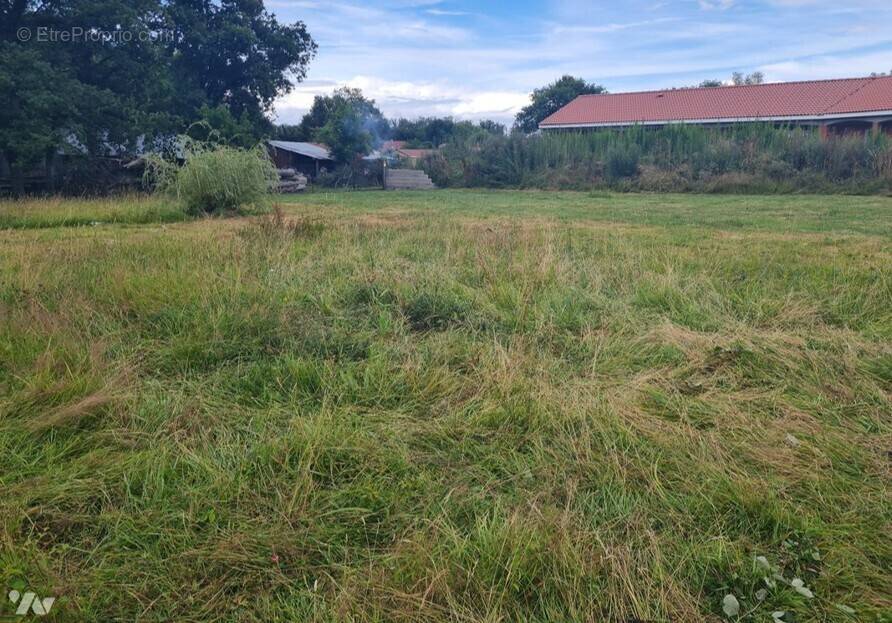 Terrain à RANDAN