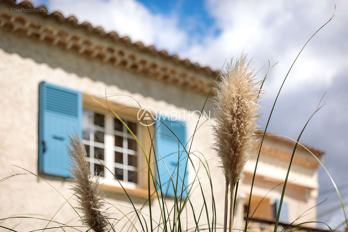 Maison à FAYENCE