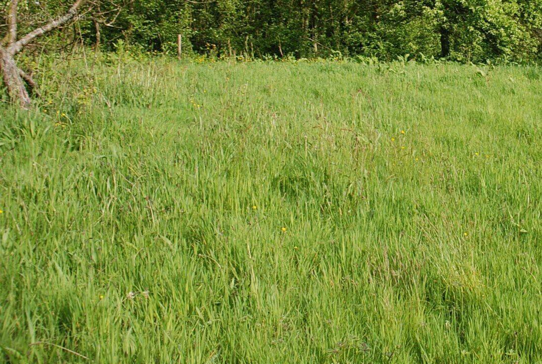 Photo 1 - Terrain à FECAMP