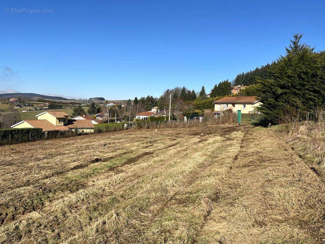 Terrain à TARARE