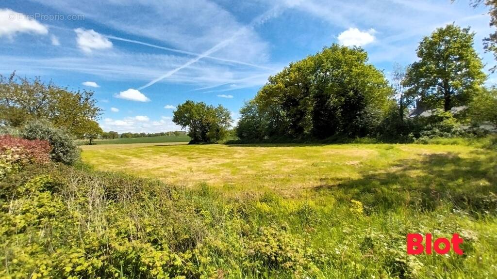 Terrain à LOUVIGNE-DE-BAIS
