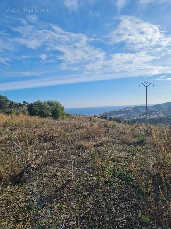 Terrain à BANYULS-SUR-MER