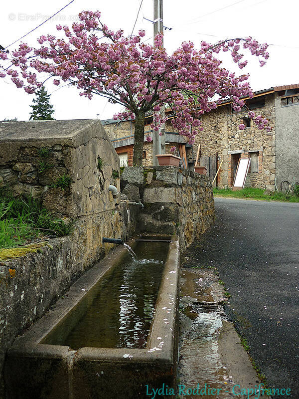 Maison à THIERS