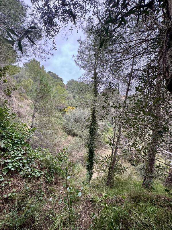 Terrain à COLOMARS