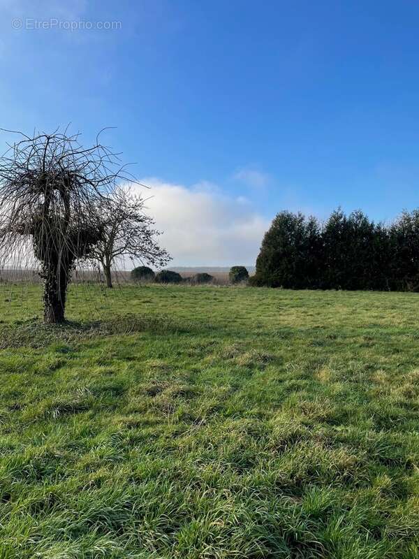 Terrain à VERNEUIL-EN-HALATTE