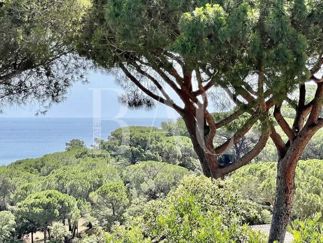 Maison à SAINTE-MAXIME