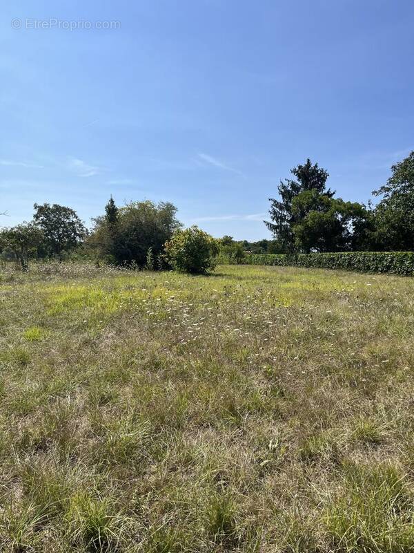 Terrain à LIBOURNE