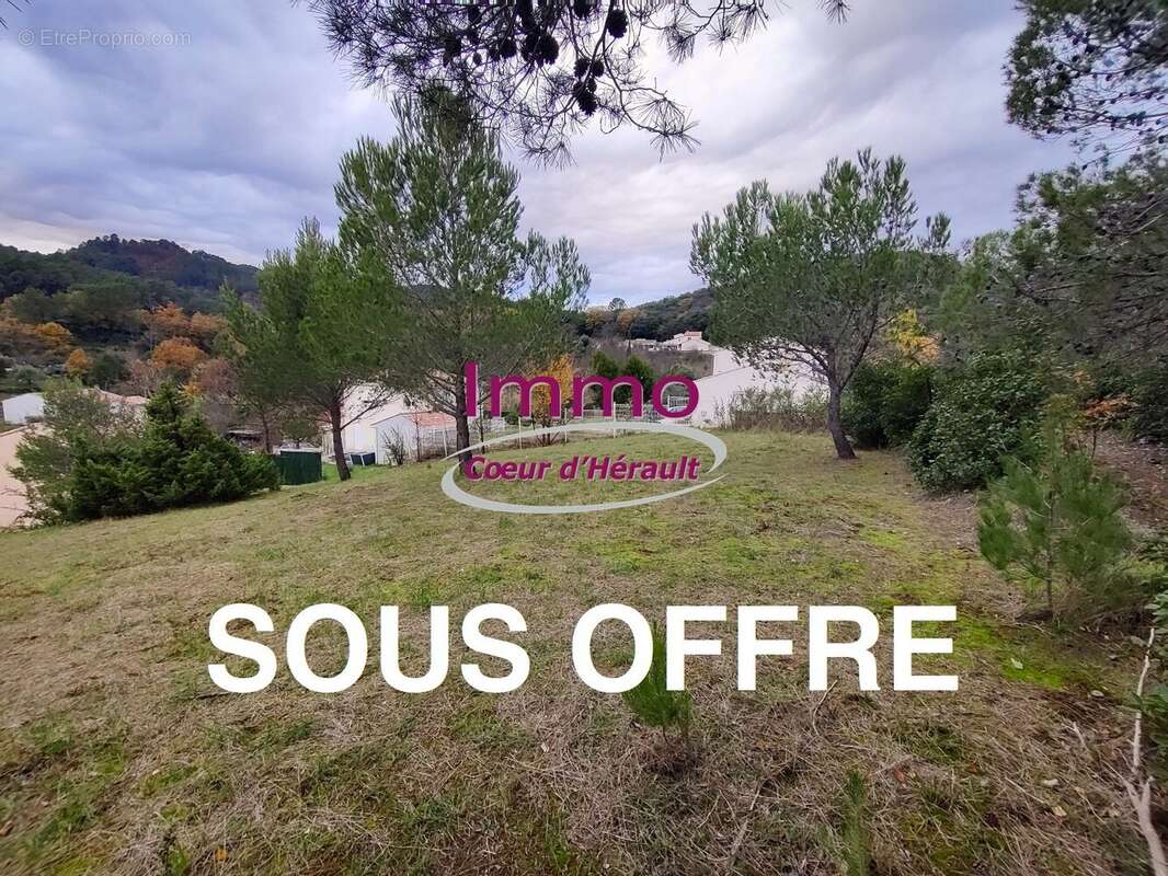 Terrain à LODEVE