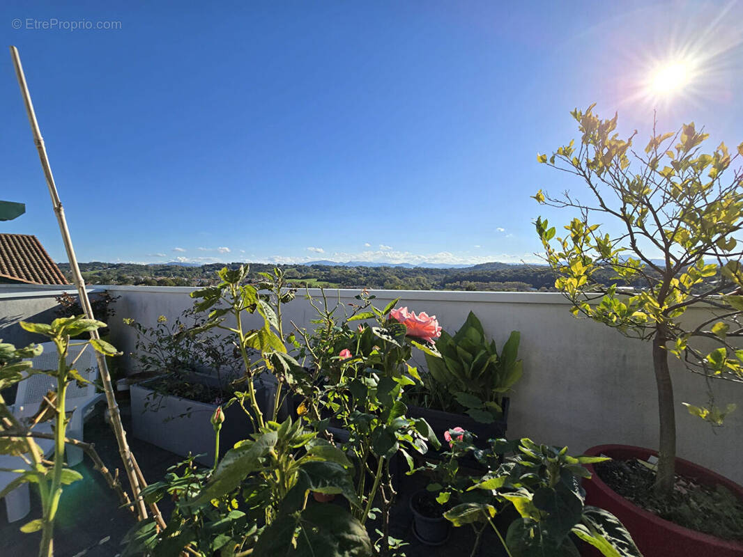 Appartement à SAINT-PIERRE-D&#039;IRUBE