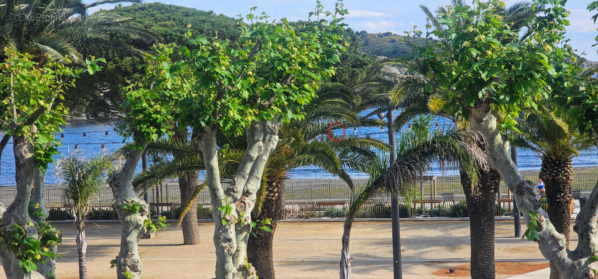 Appartement à BANYULS-SUR-MER