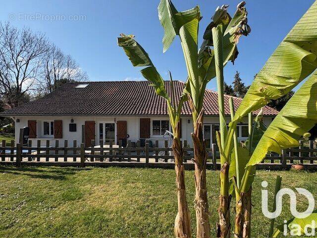 Photo 1 - Maison à AIRE-SUR-L&#039;ADOUR