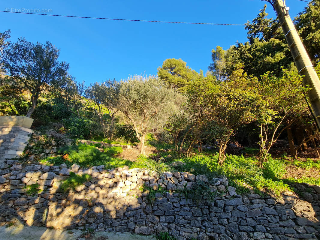 Terrain à TOULON