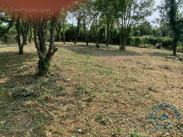 Terrain à CLAMECY