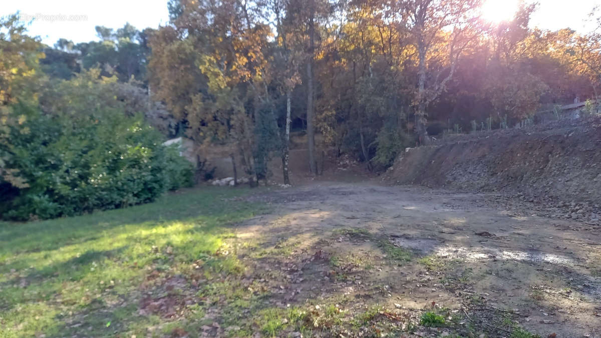 Terrain à SAINT-ALEXANDRE