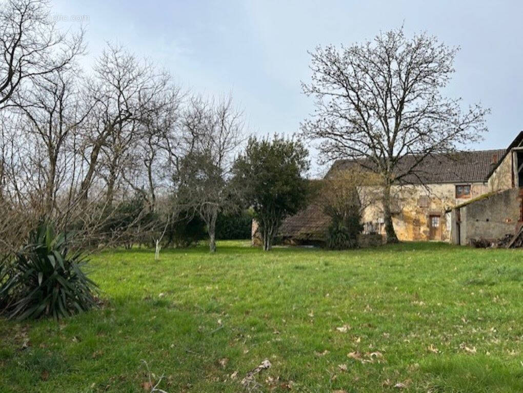 Maison à SAINT-SAUVEUR-EN-PUISAYE