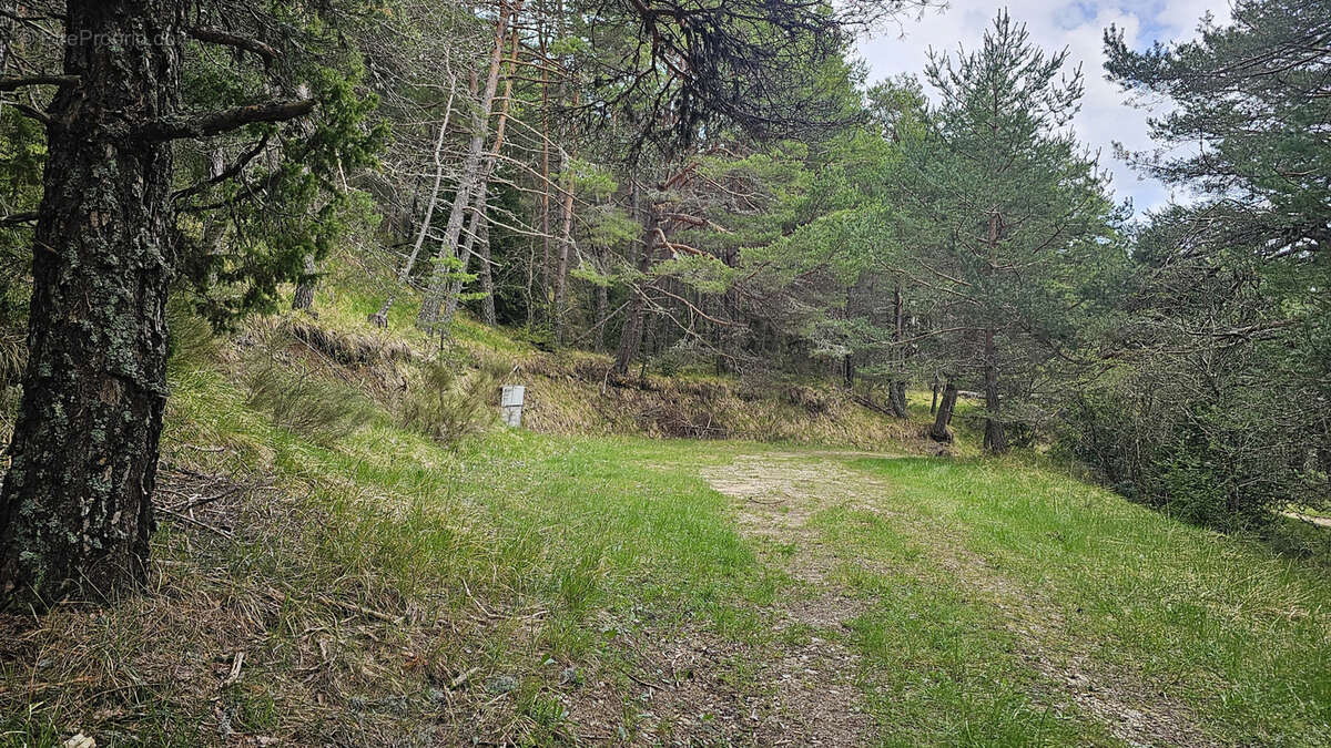 Terrain à CAILLE
