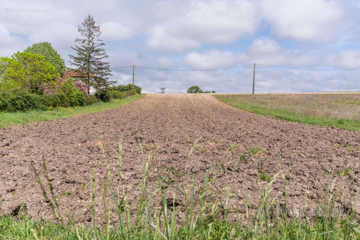Terrain à DOMPIERRE-SUR-CHARENTE