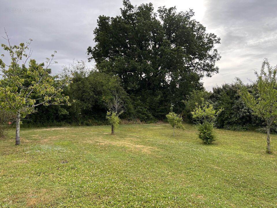 Terrain à MIGNE-AUXANCES