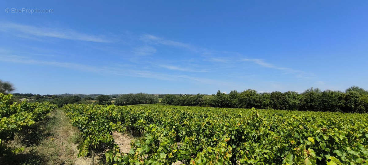 Terrain à VISAN