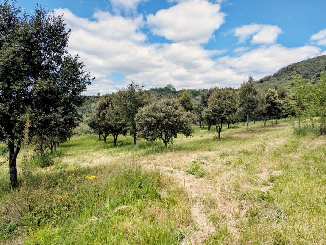 Terrain à LA TOUR-SUR-ORB