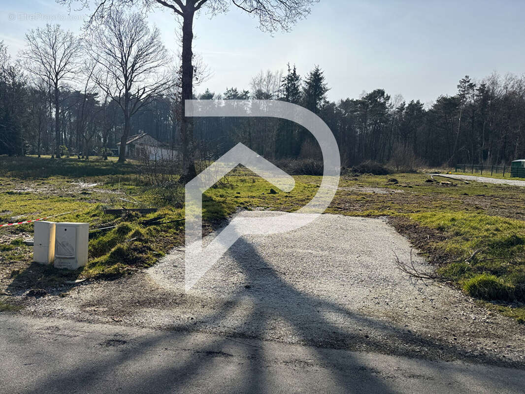 Terrain à LA FERTE-FRENEL