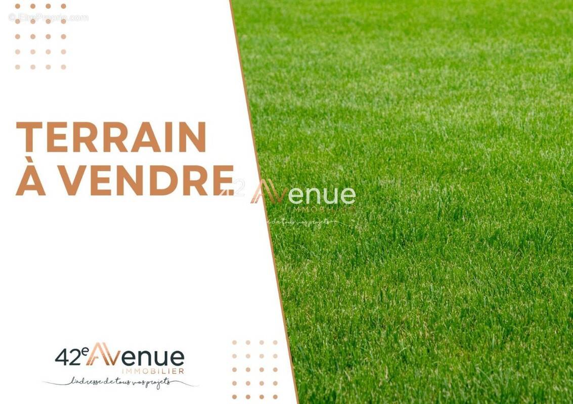 Terrain à ANDREZIEUX-BOUTHEON