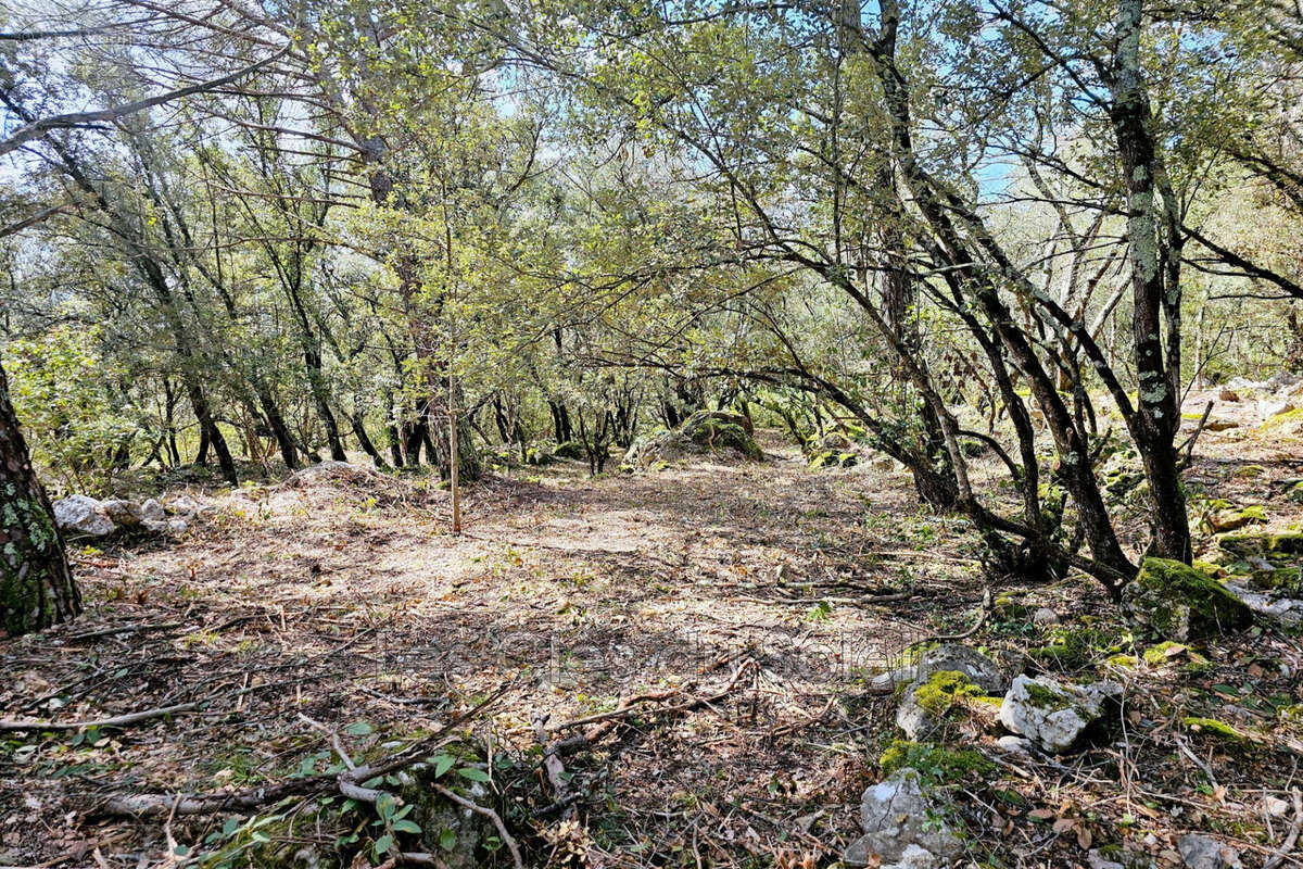 Terrain à CAMPS-LA-SOURCE