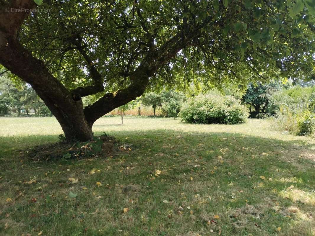Terrain à VILLEBEON