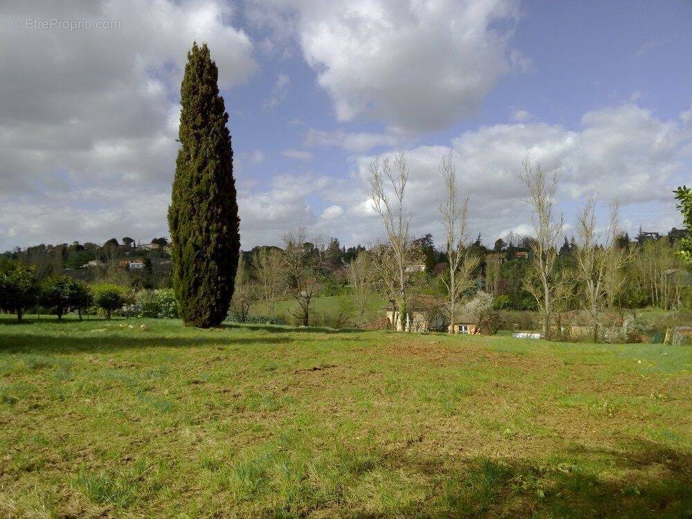 Terrain à AUCH