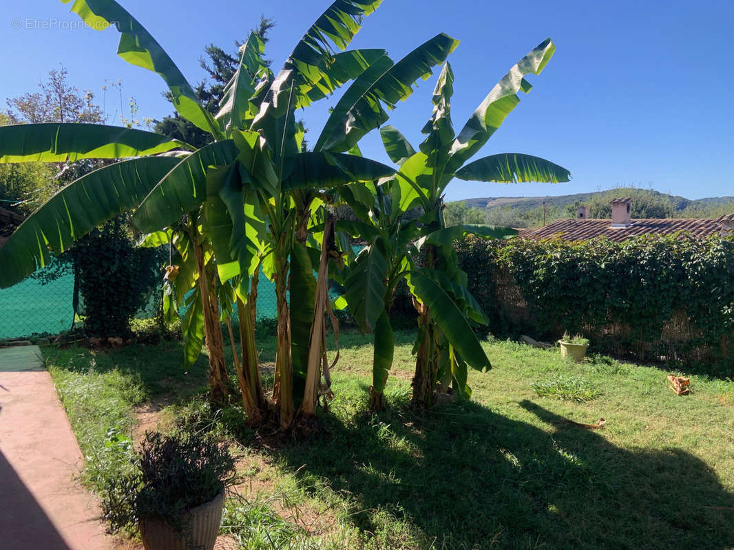 Appartement à LA COLLE-SUR-LOUP