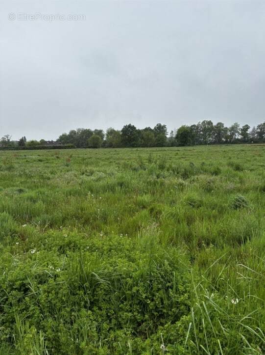 Terrain à LA FORCE