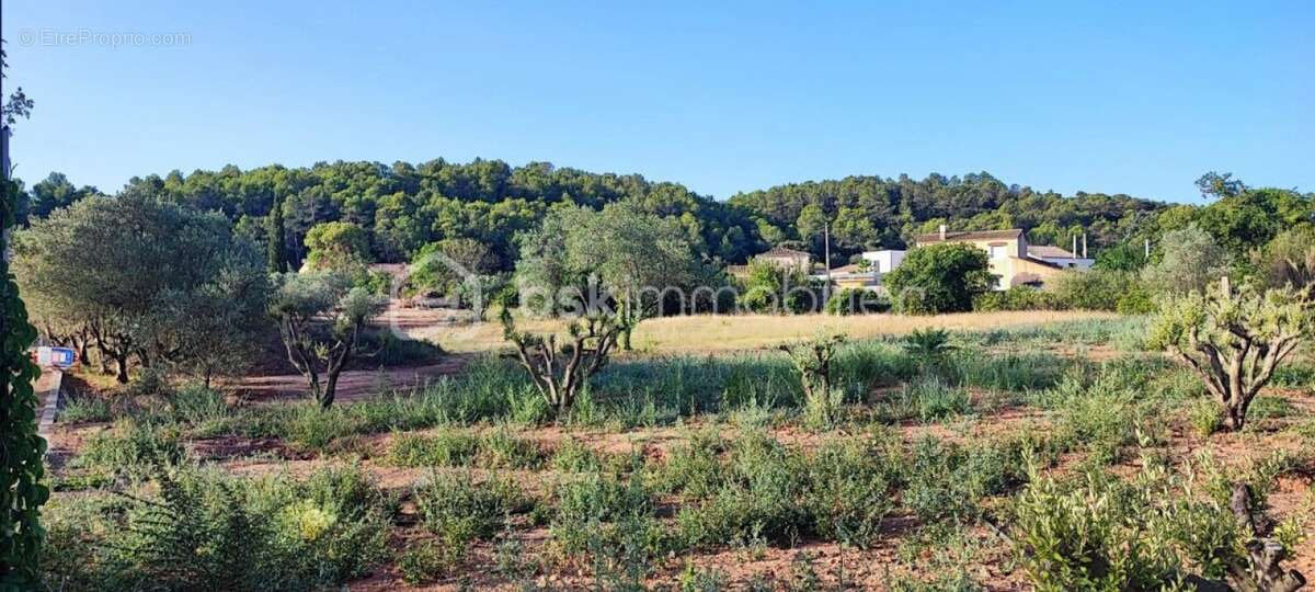 Terrain à CLERMONT-L&#039;HERAULT
