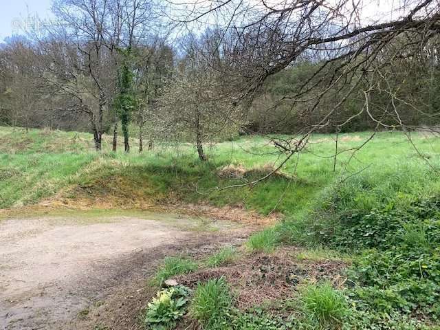 Terrain à ARGENTON-SUR-CREUSE