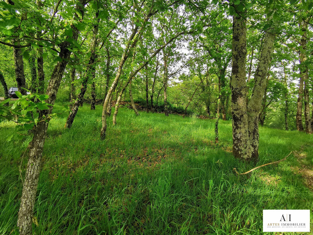 Terrain à COUX