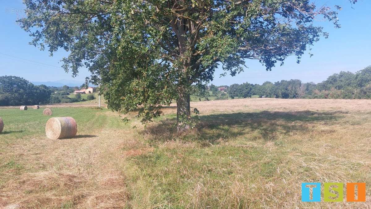 Terrain à CIADOUX