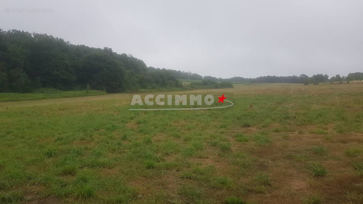 Terrain à GAILLAC