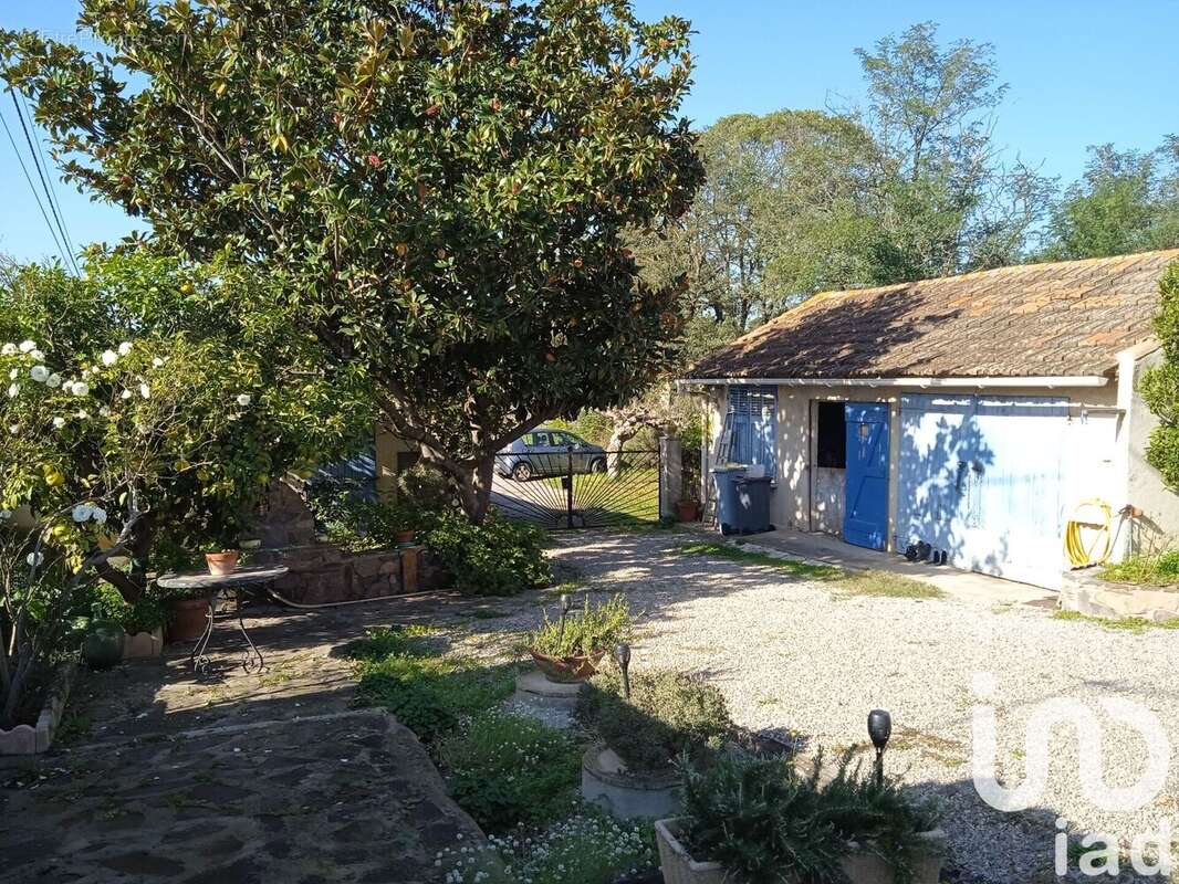 Photo 3 - Maison à PUGET-SUR-ARGENS