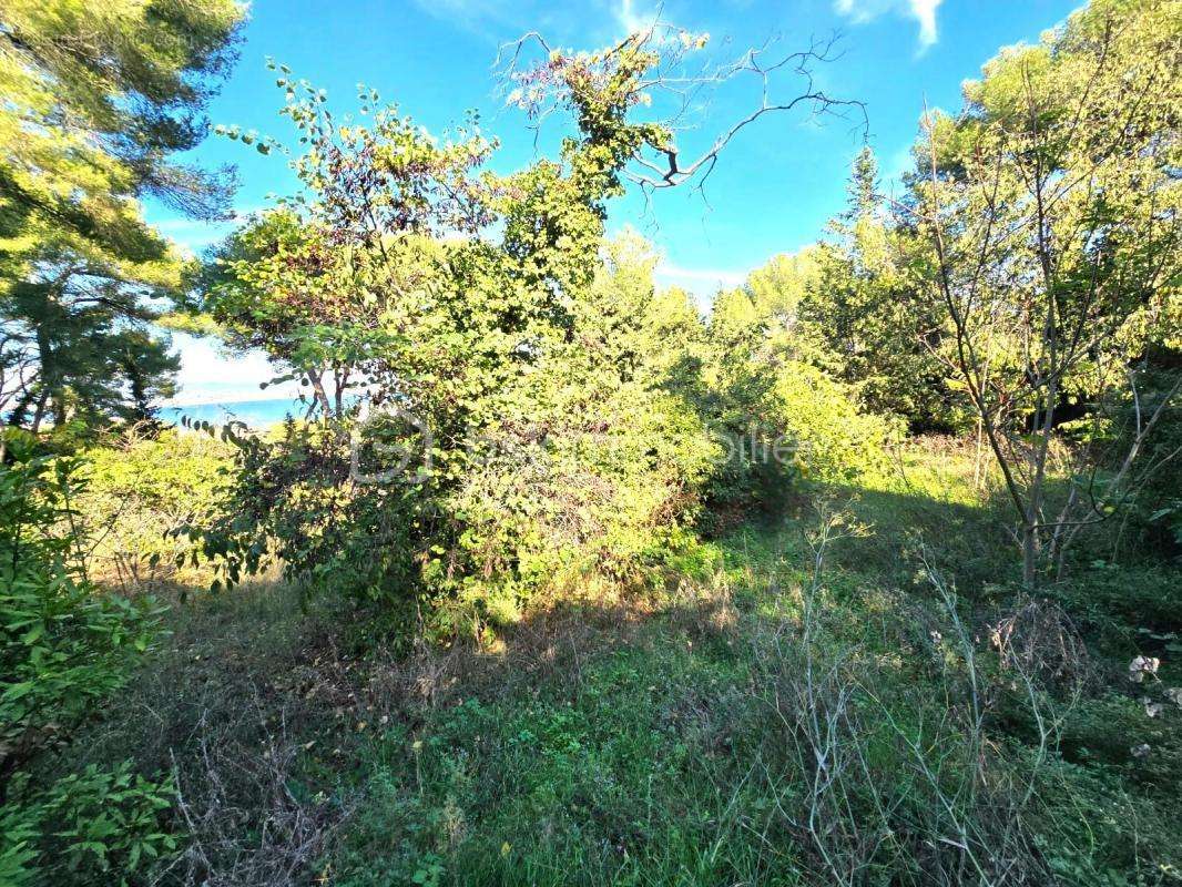 Terrain à SETE