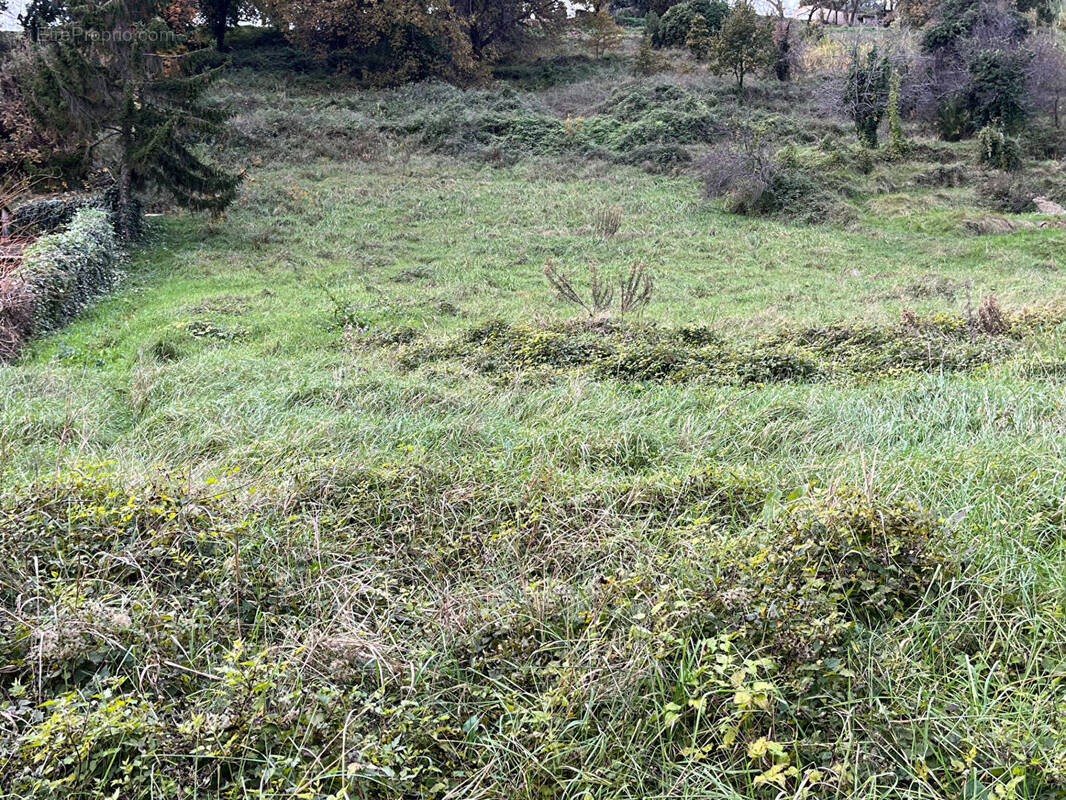 Terrain à CAGNES-SUR-MER