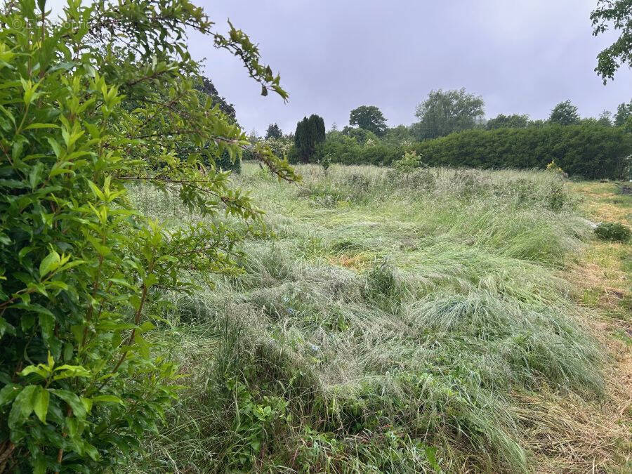 Terrain à SAINT-AMAND-LES-EAUX
