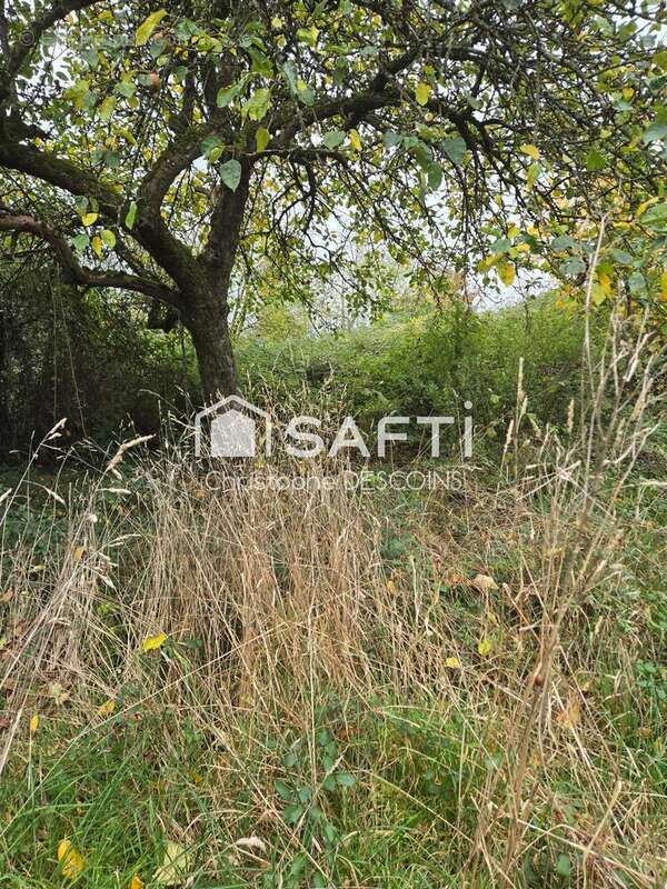 Photo 2 - Terrain à SAINT-FRAIMBAULT-DE-PRIERES