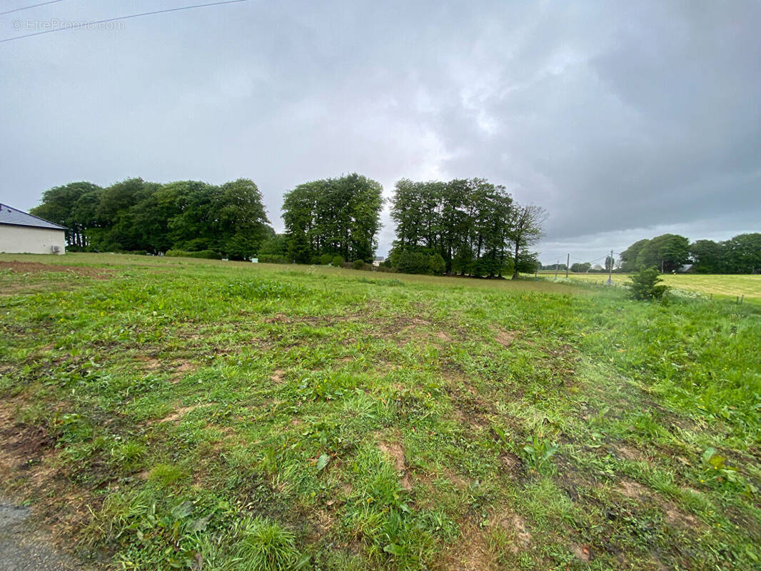 Terrain à ANGERVILLE-L&#039;ORCHER